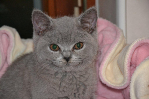1. Fotos von Wulf 22.10.2012 020