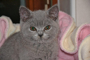 1. Fotos von Wulf 22.10.2012 020